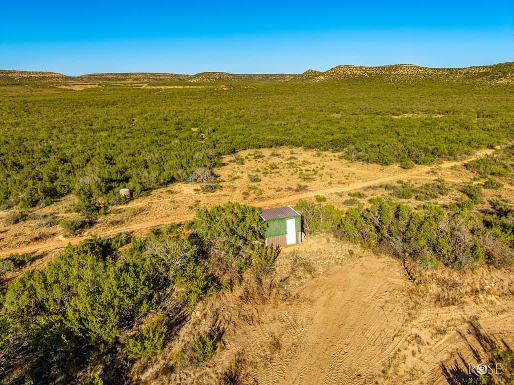 153 acres in Coke County - photo 11