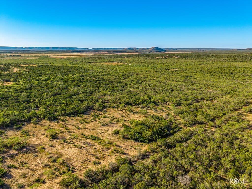 153 acres in Coke County - photo 14