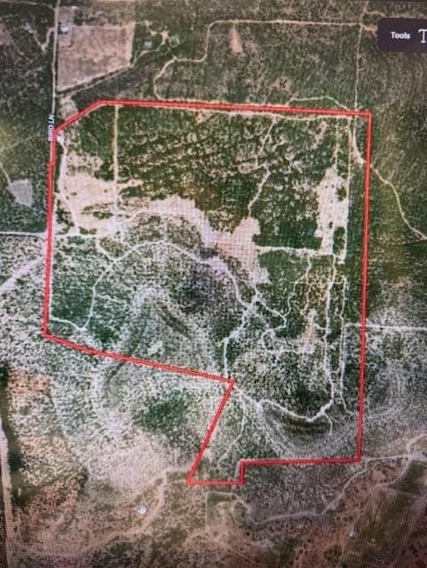 153 acres in Coke County - photo 49