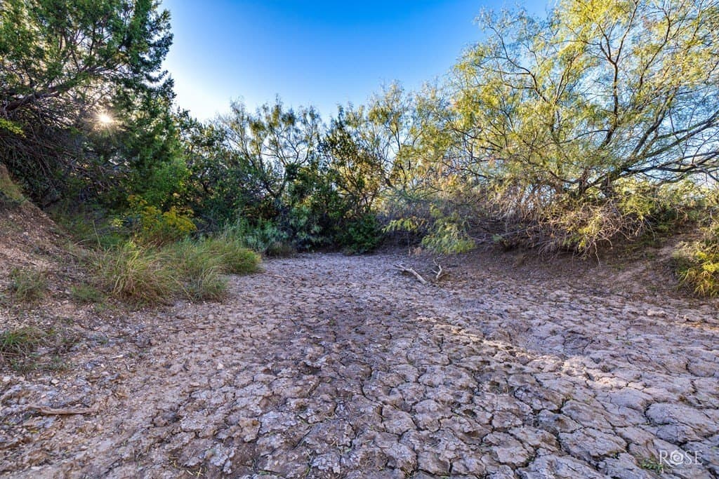 153 acres in Coke County - photo 29