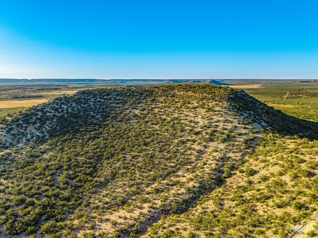 153 acres in Coke County - photo 39