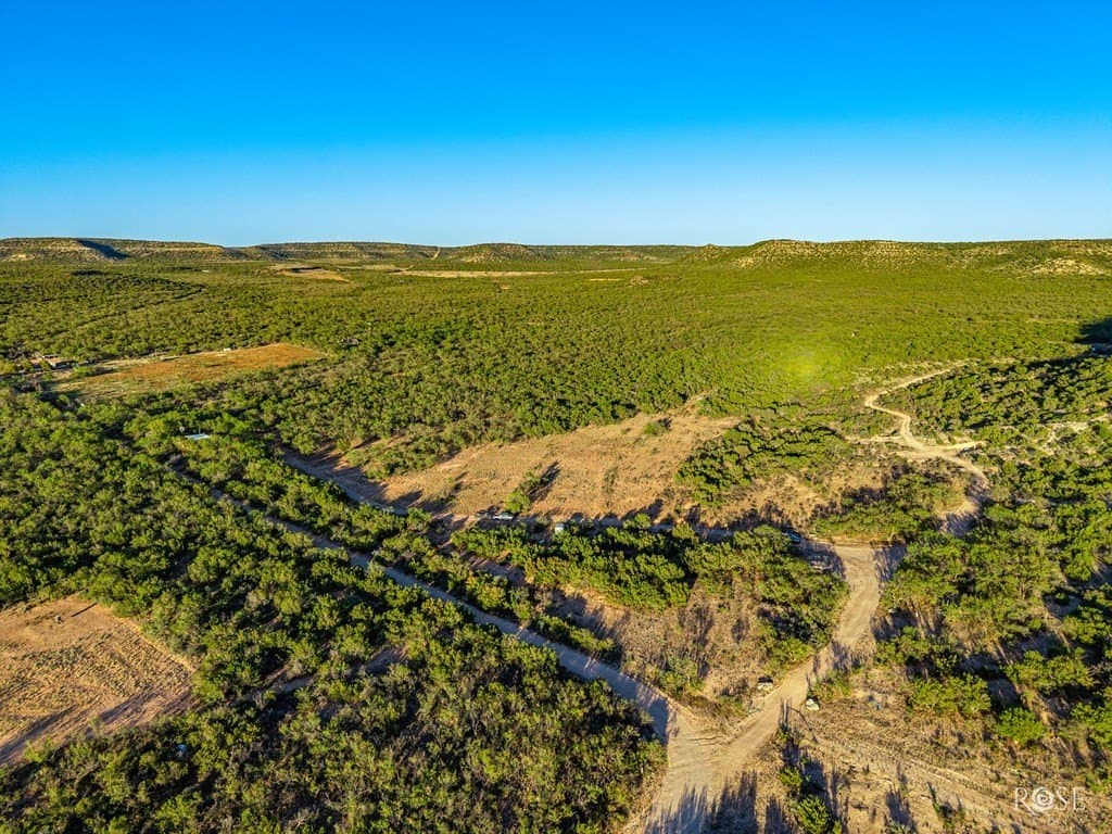 153 acres in Coke County - photo 47