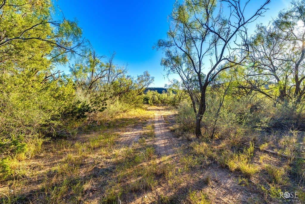 153 acres in Coke County - photo 25