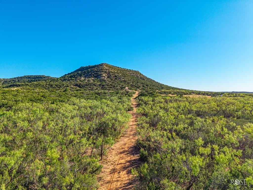 153 acres in Coke County - photo 8