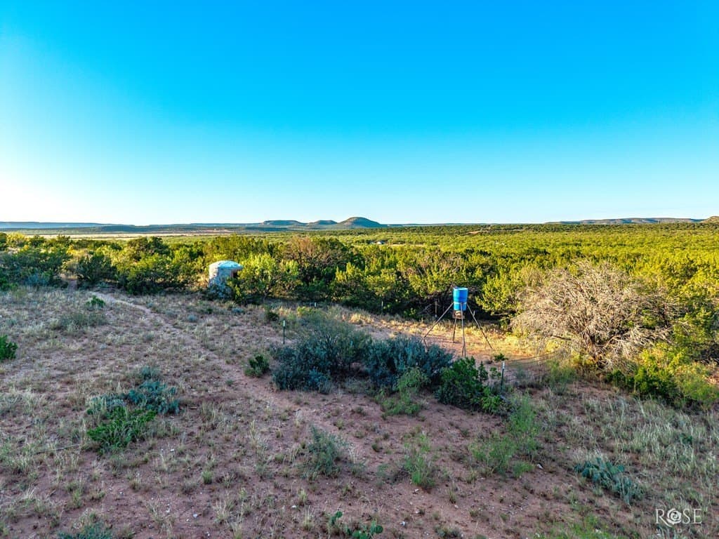 153 acres in Coke County - photo 44