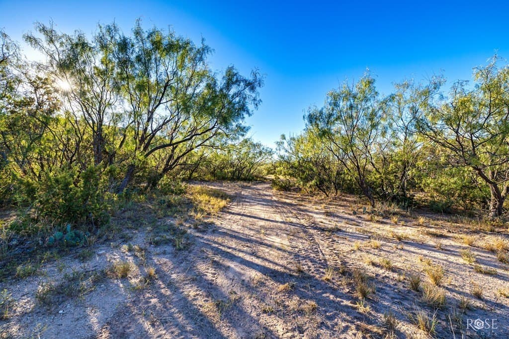 153 acres in Coke County - photo 30