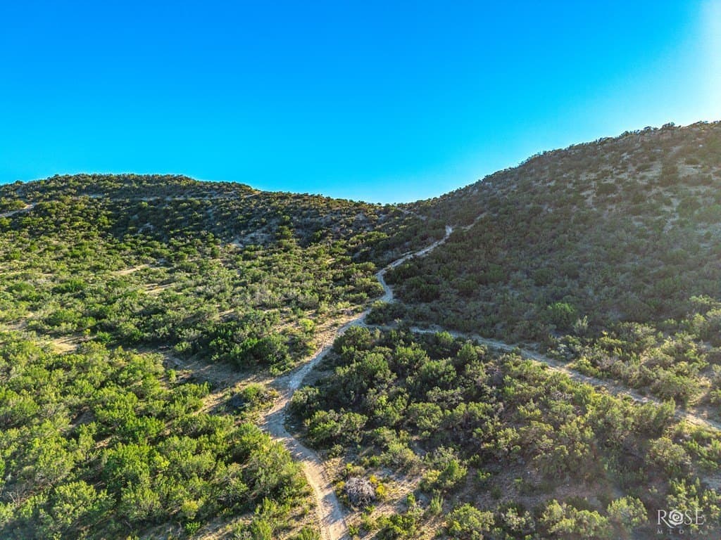 153 acres in Coke County - photo 16
