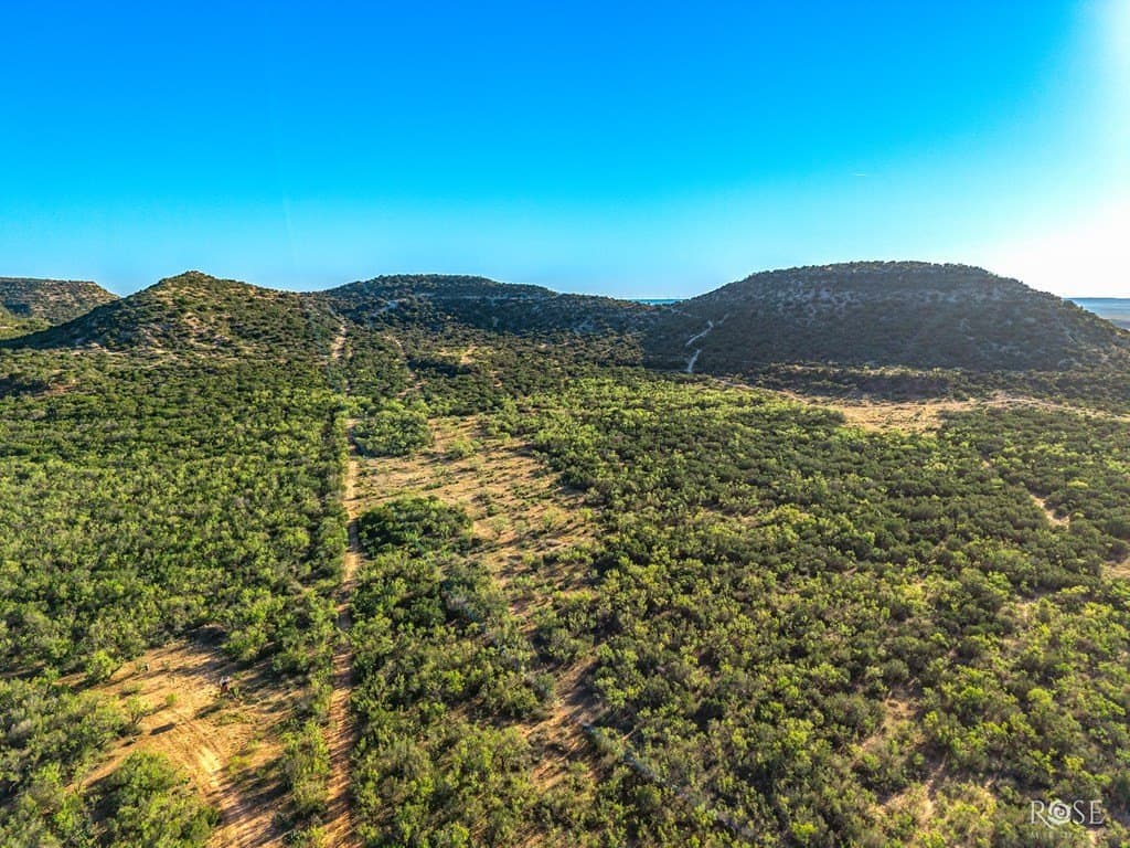 153 acres in Coke County - photo 24