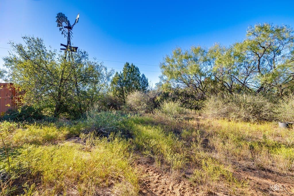 153 acres in Coke County - photo 7