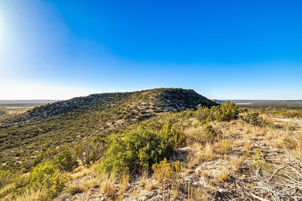 153 acres in Coke County - photo 31