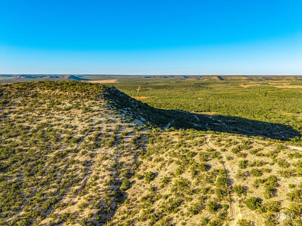 153 acres in Coke County - photo 38