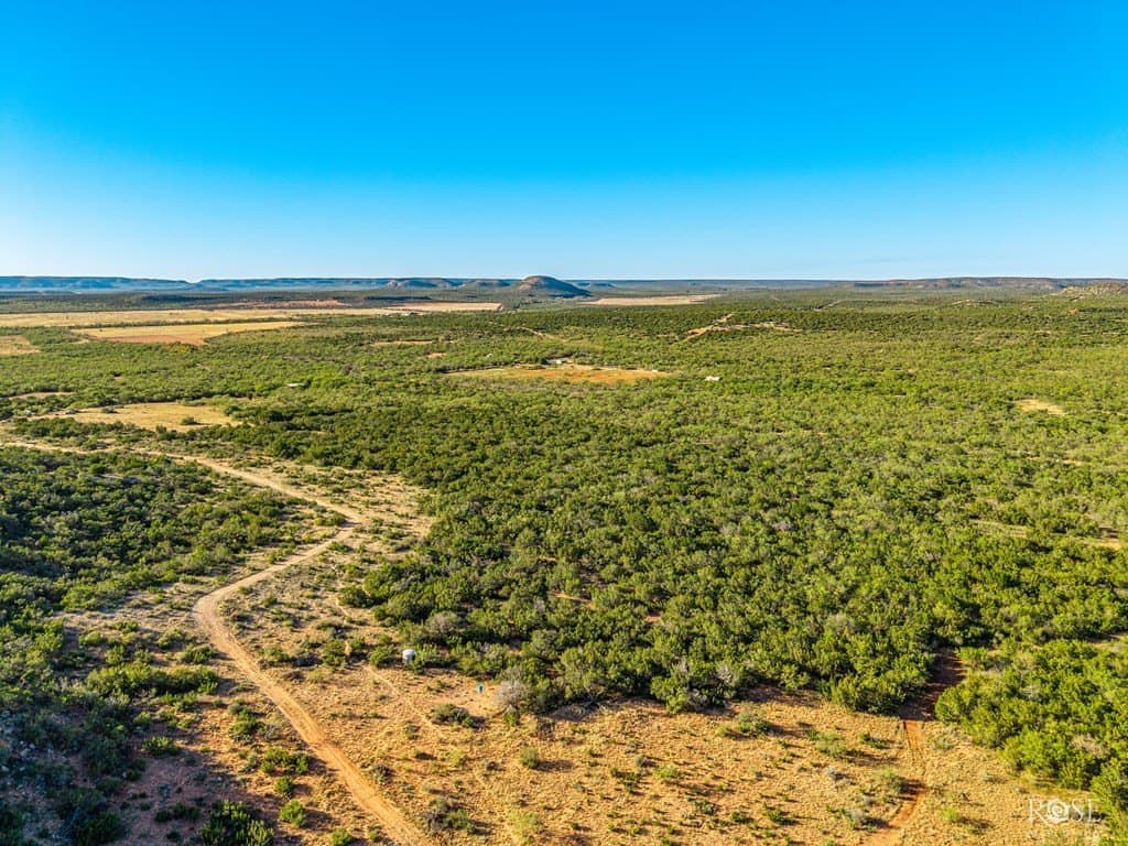 153 acres in Coke County - photo 17