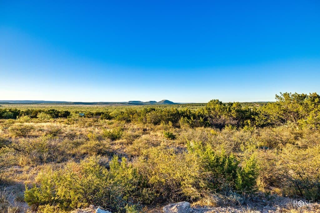 153 acres in Coke County - photo 45