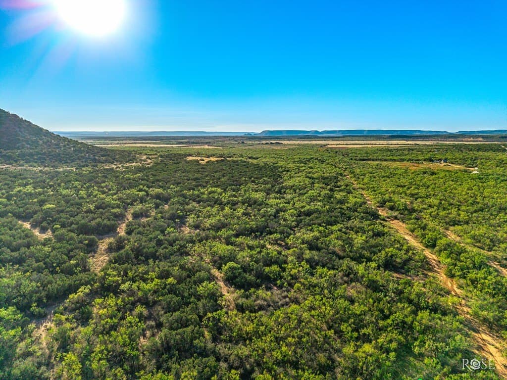 153 acres in Coke County - photo 26