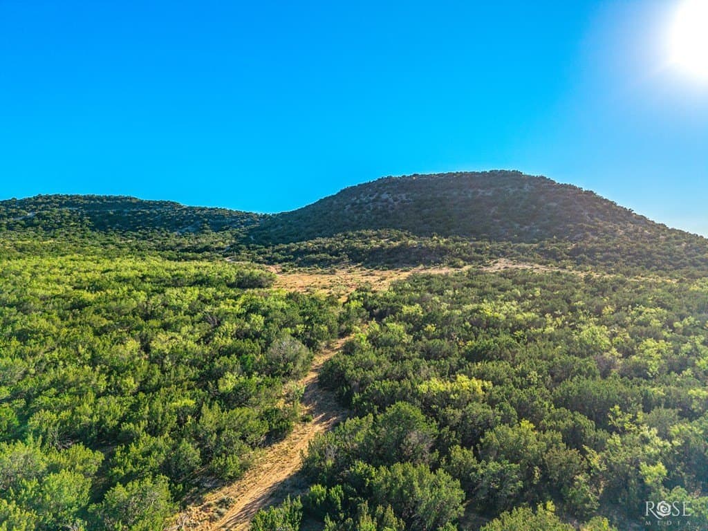 153 acres in Coke County - photo 18