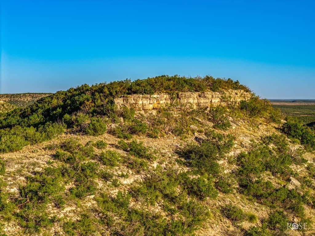 153 acres in Coke County - photo 34