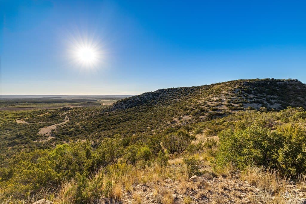 153 acres in Coke County - photo 32