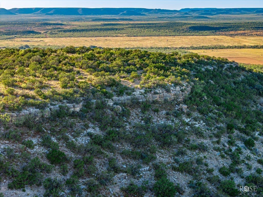 153 acres in Coke County - photo 37