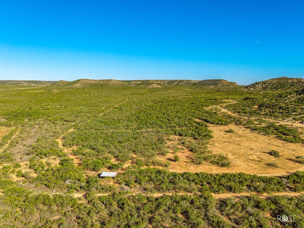 153 acres in Coke County - photo 3