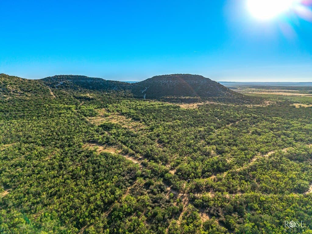 153 acres in Coke County - photo 23