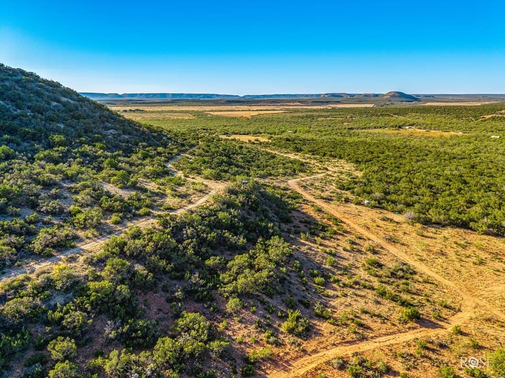 153 acres in Coke County - photo 13