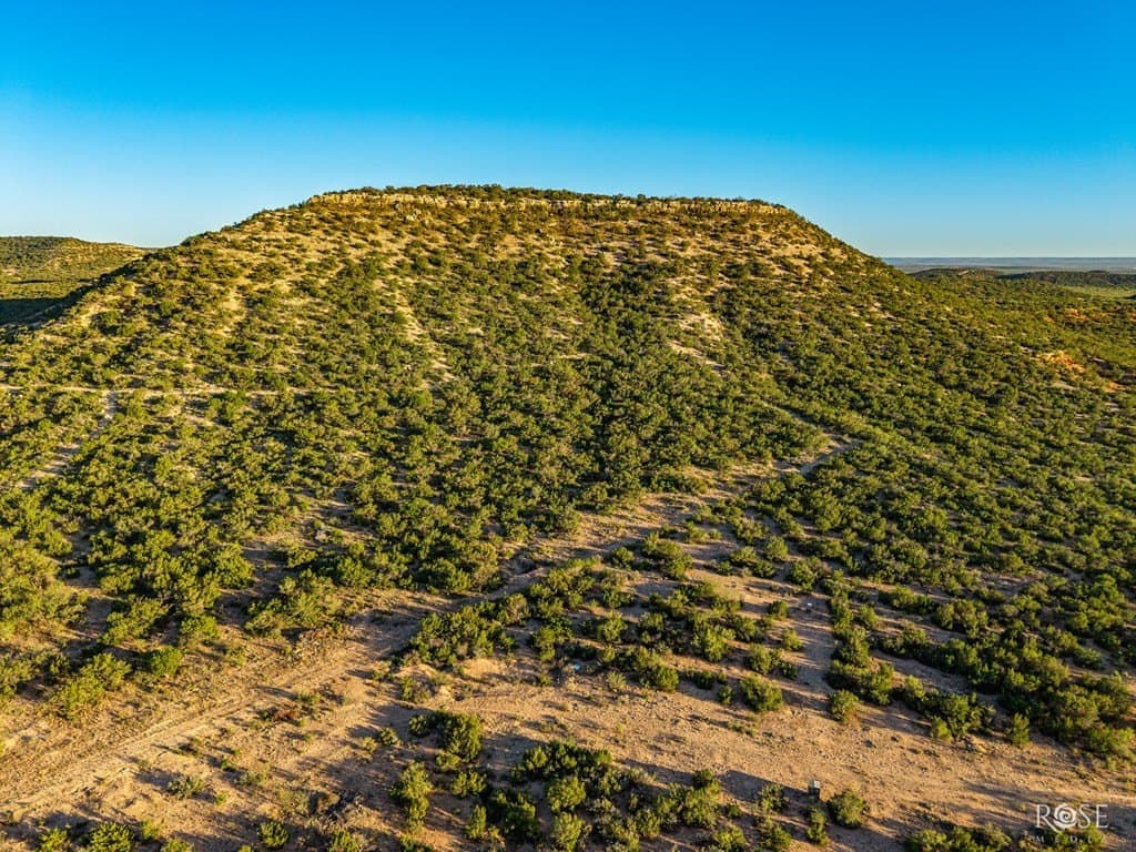 153 acres in Coke County - photo 48