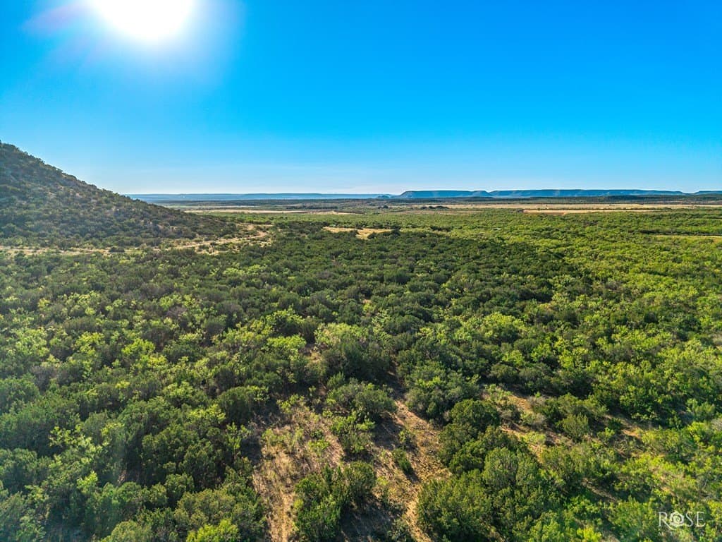 153 acres in Coke County - photo 19