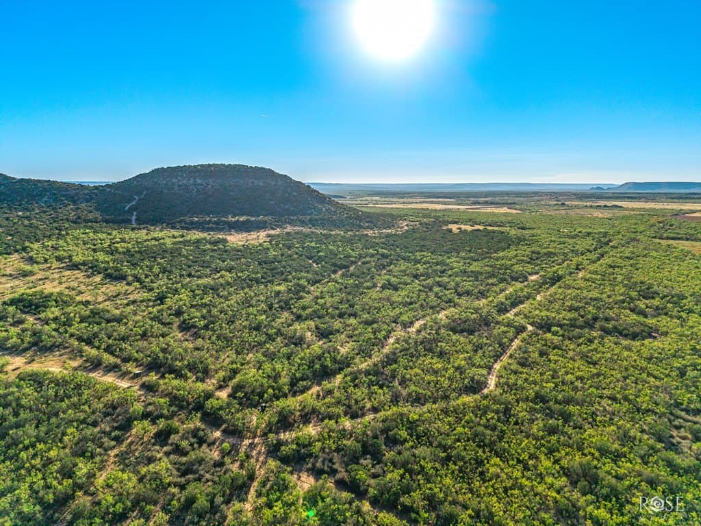 153 acres in Coke County - photo 22