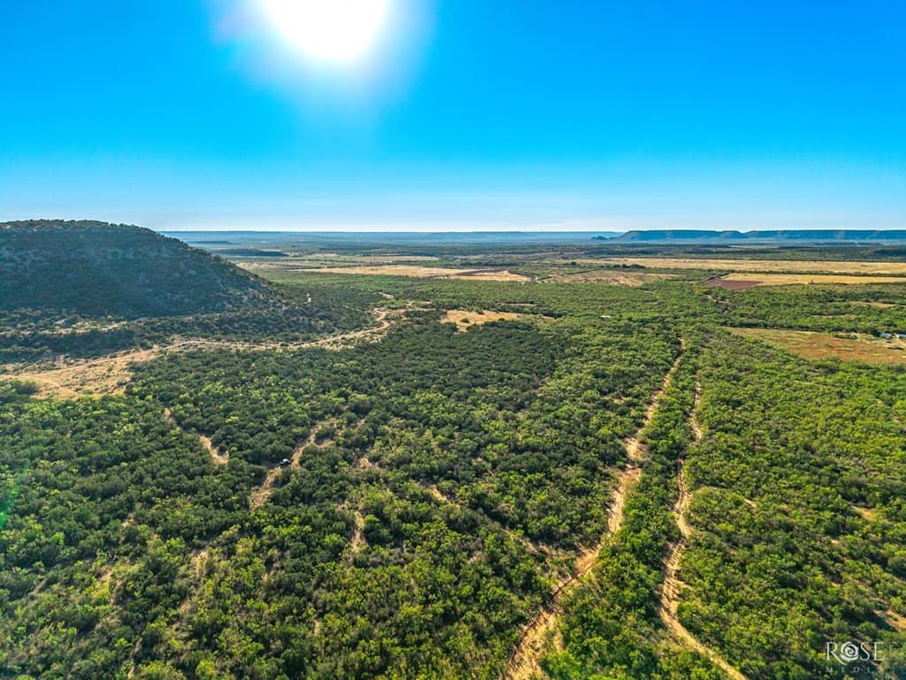 153 acres in Coke County - photo 21