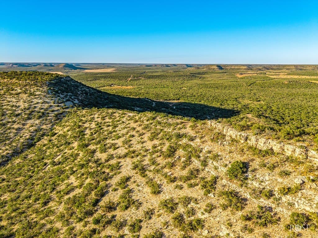 153 acres in Coke County - photo 41