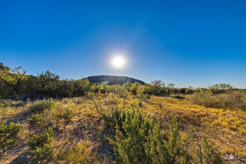 153 acres in Coke County - photo 28