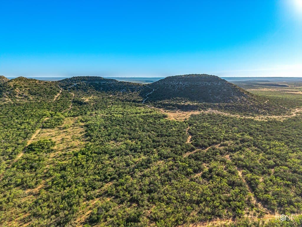 153 acres in Coke County - photo 20