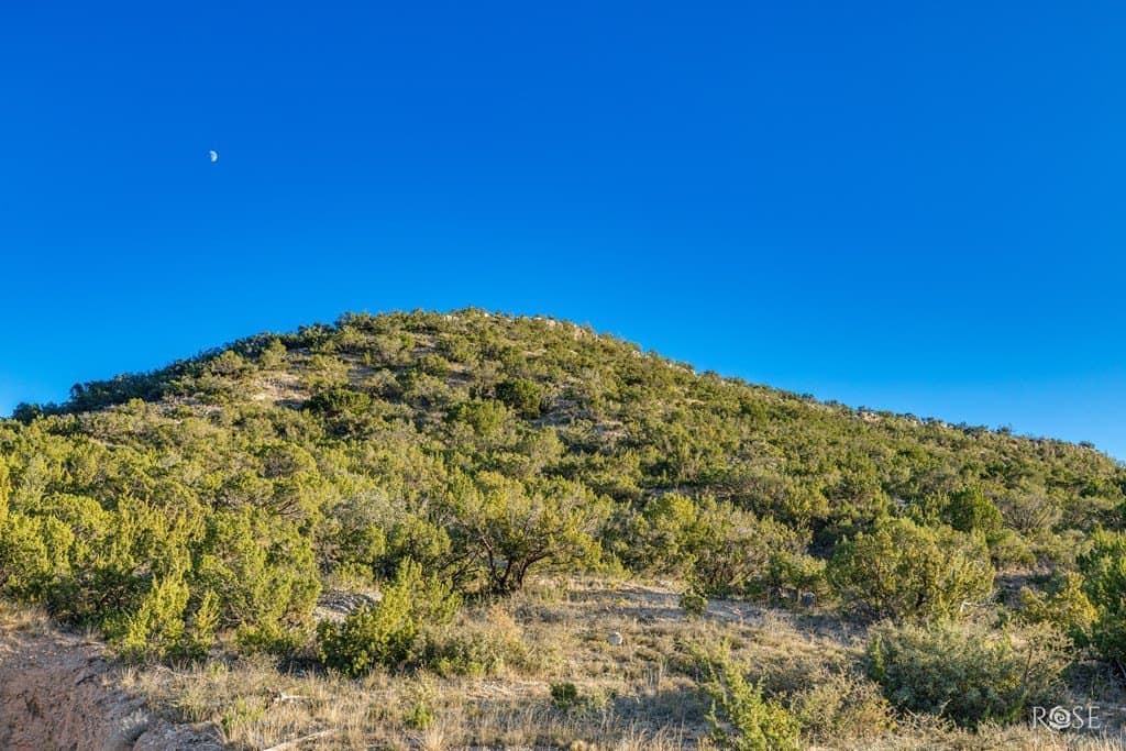 153 acres in Coke County - photo 46