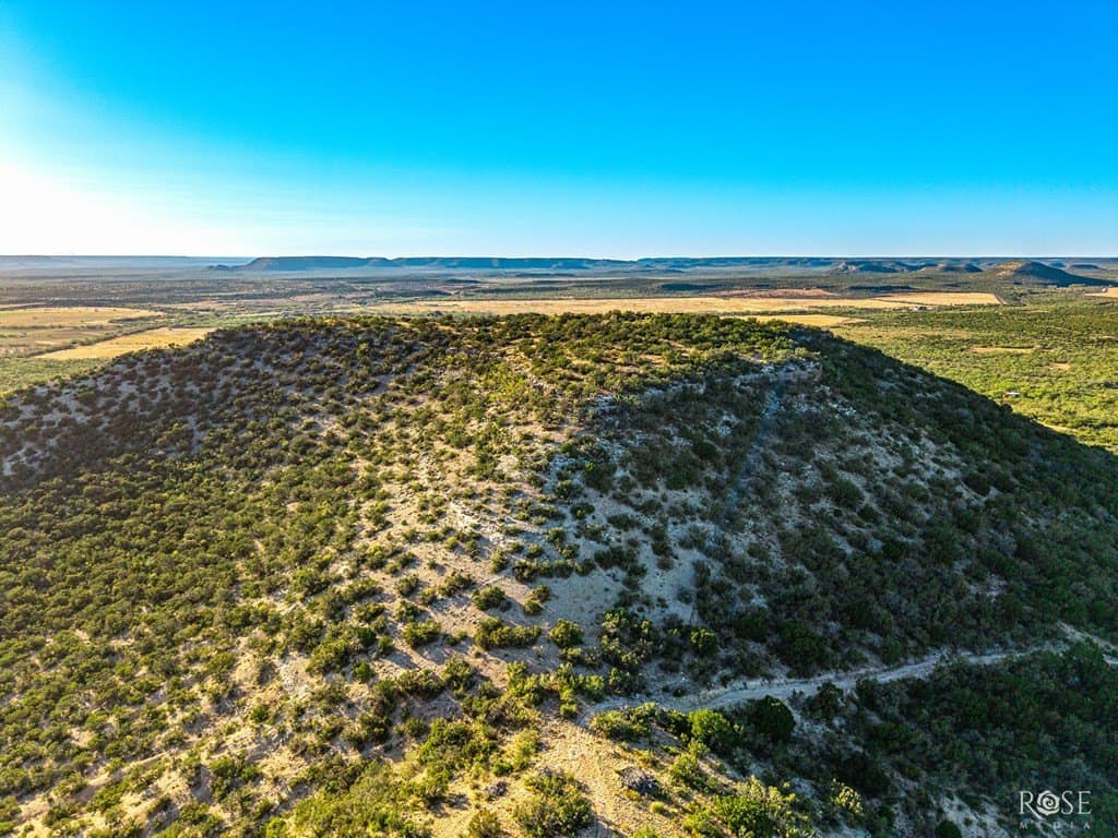 153 acres in Coke County - photo 36