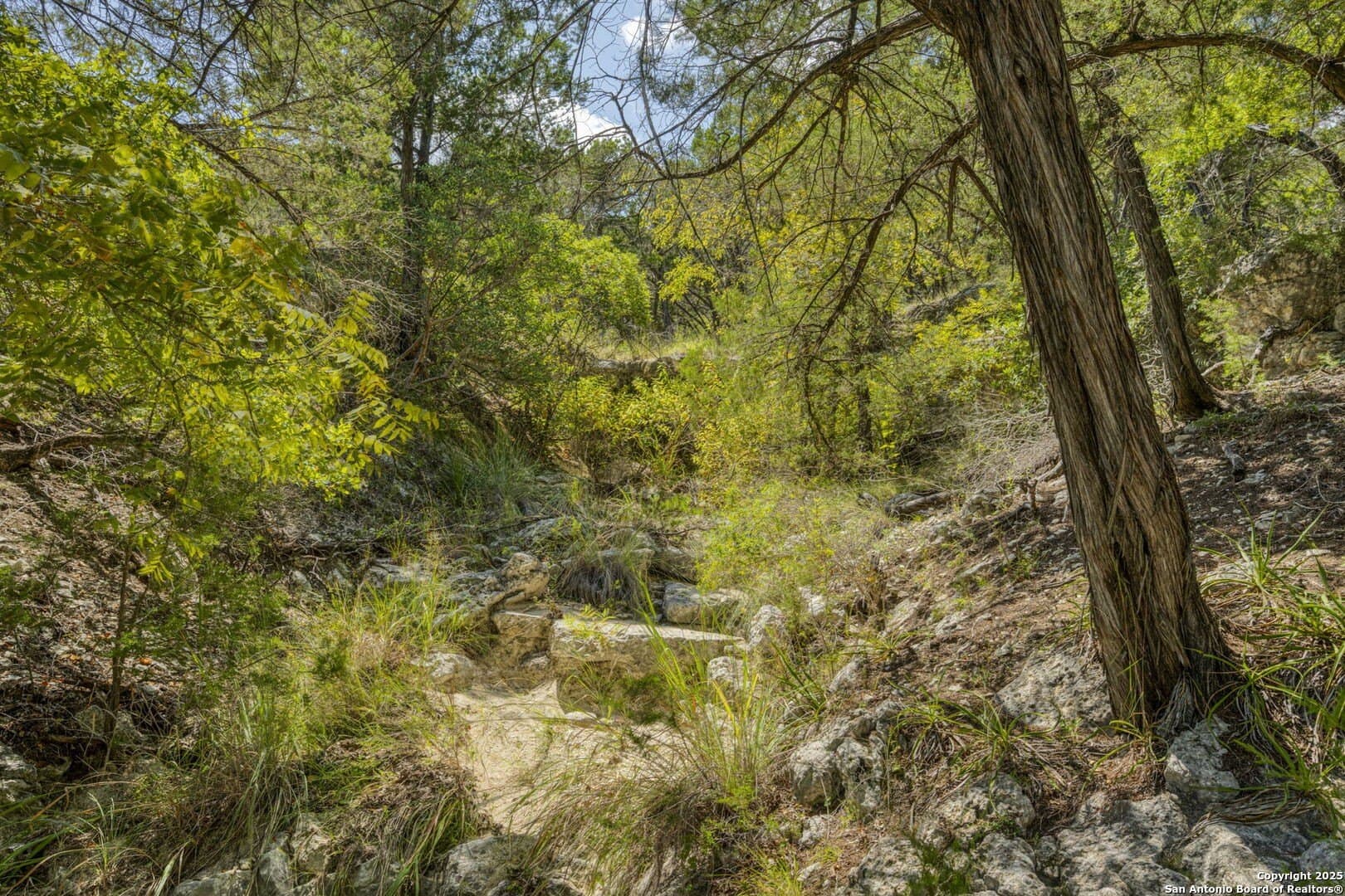 60.63 acres in Kendall County - photo 67
