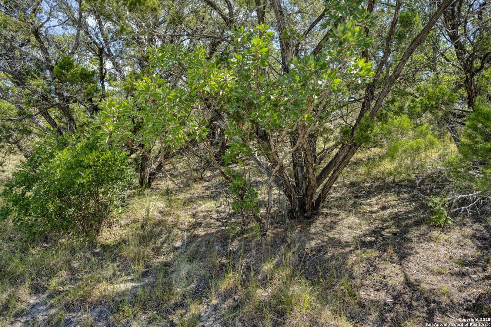 60.63 acres in Kendall County - photo 64