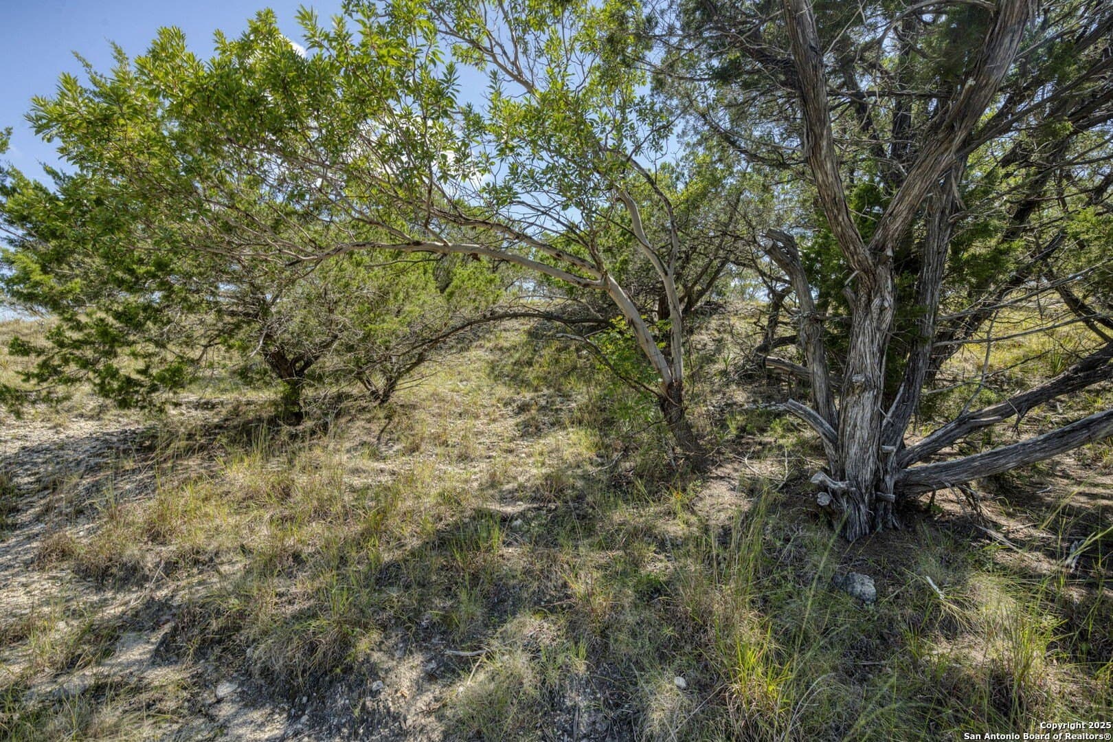 60.63 acres in Kendall County - photo 62