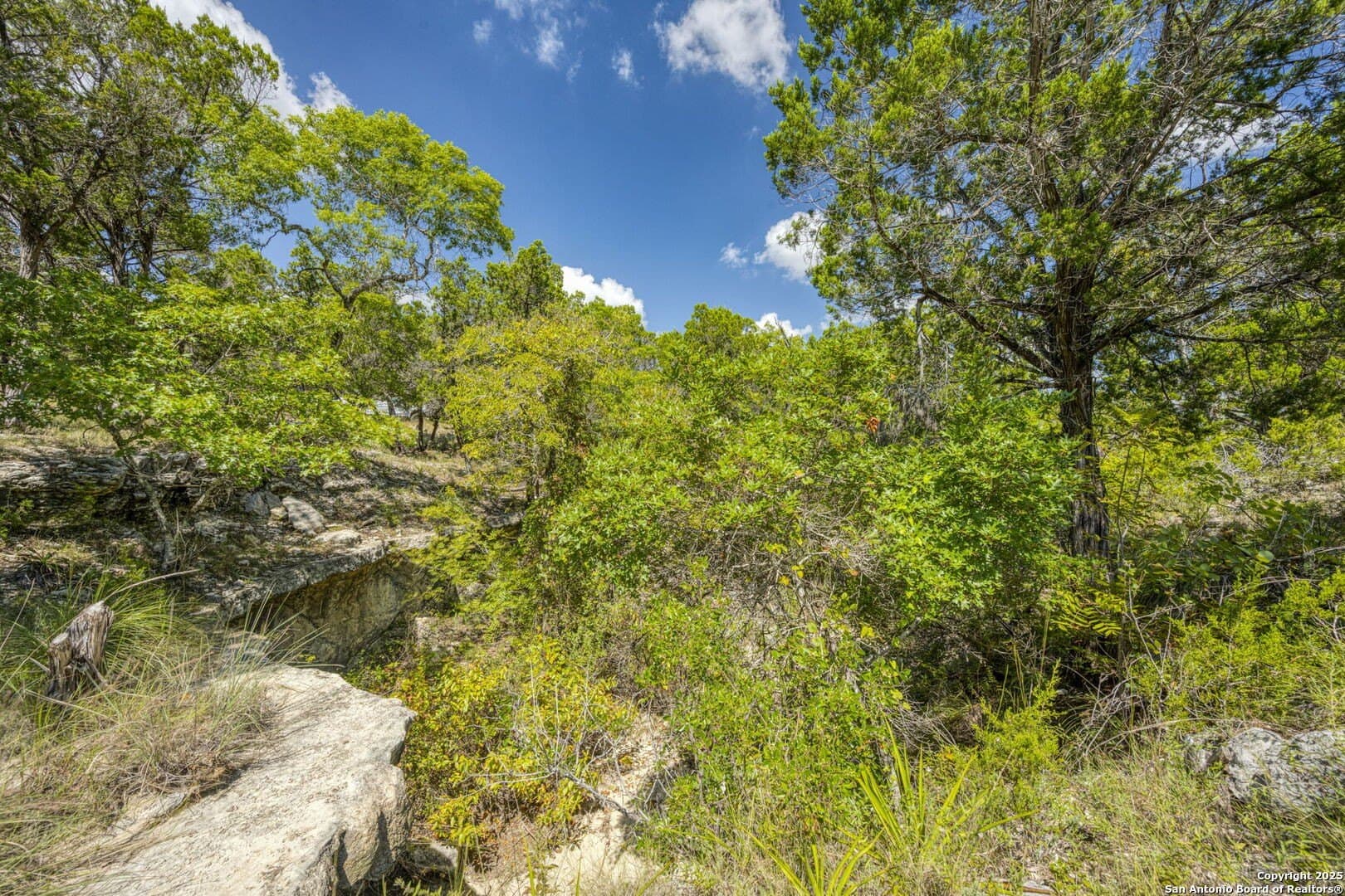 60.63 acres in Kendall County - photo 74