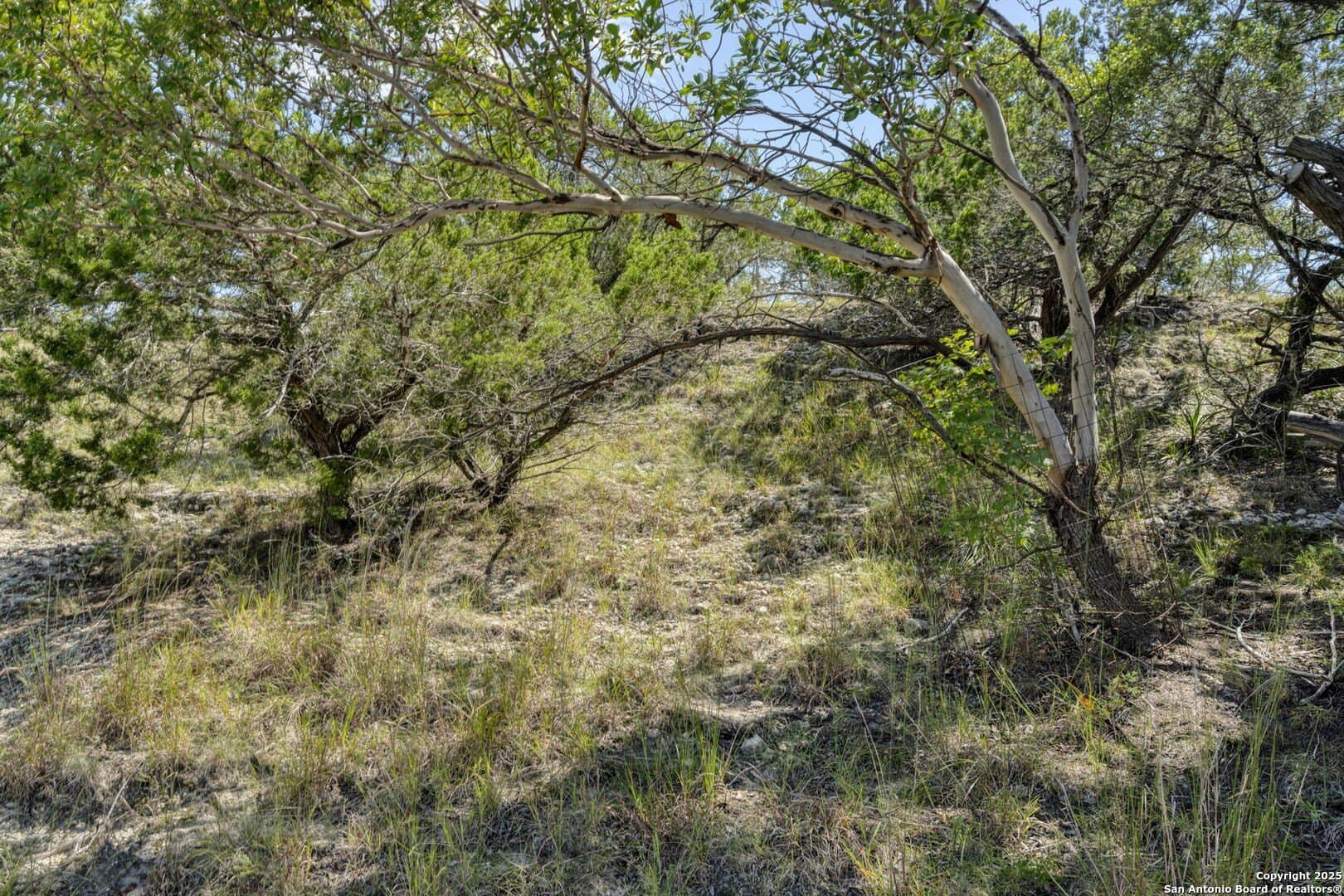 60.63 acres in Kendall County - photo 63