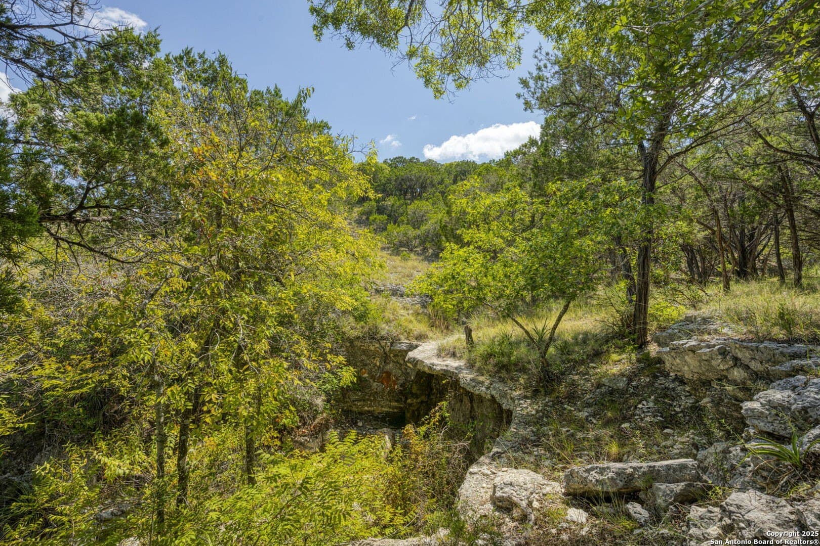 60.63 acres in Kendall County - photo 70