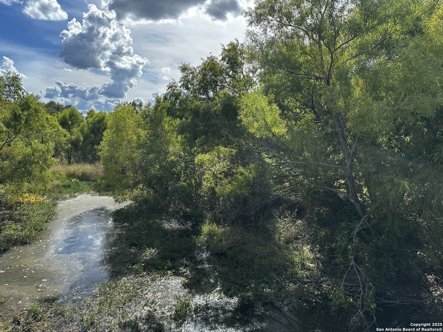 1.63 acres in Kendall County - photo 9