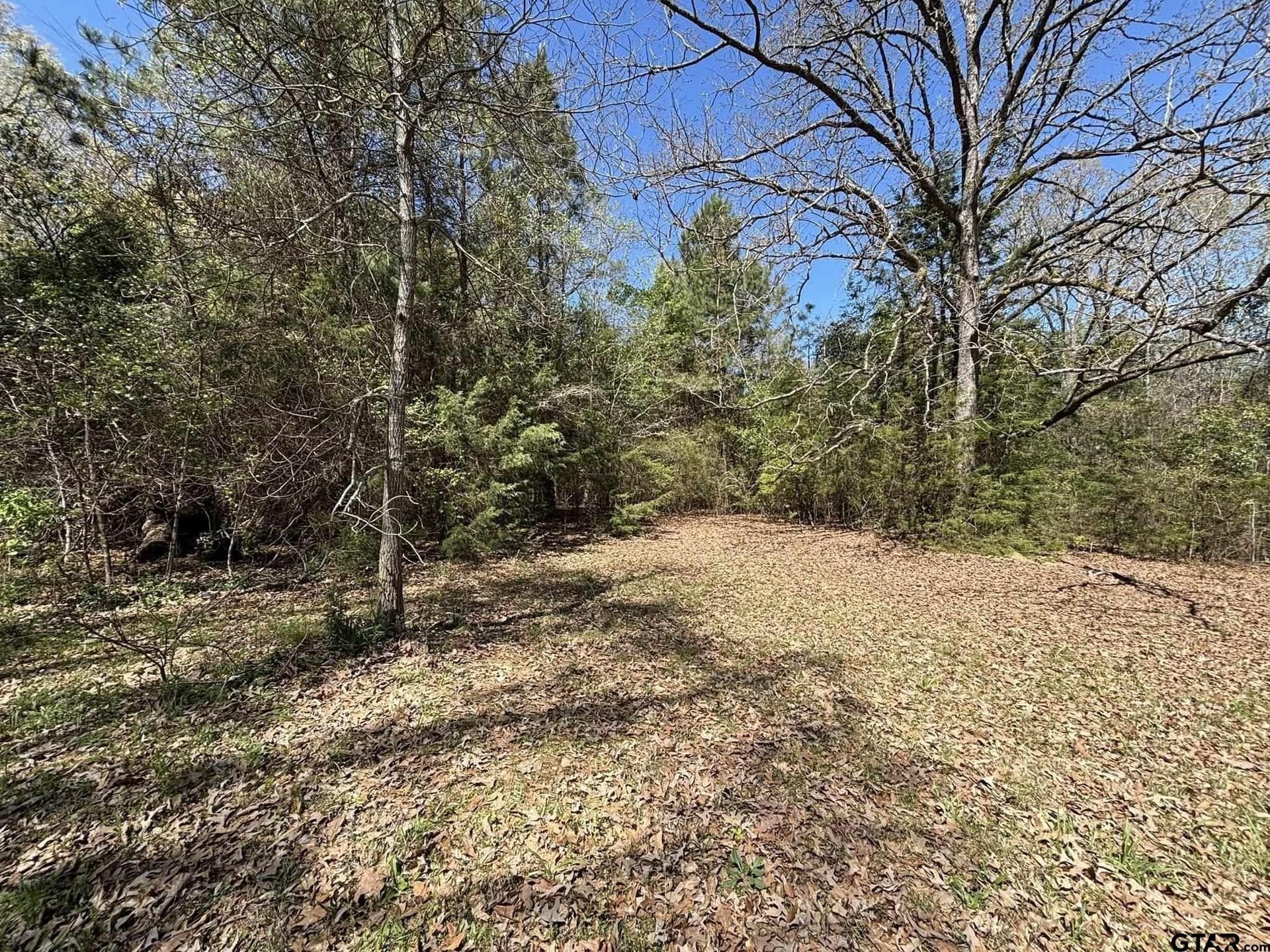 7.87 acres in Smith County - photo 4