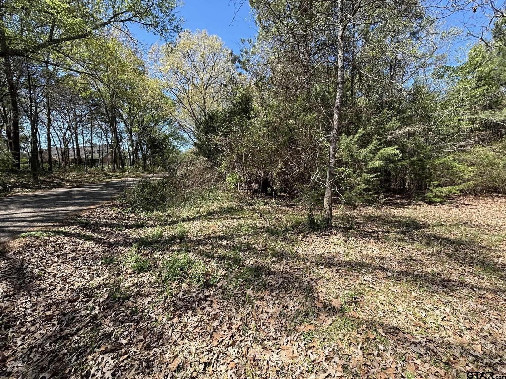 7.87 acres in Smith County - photo 7