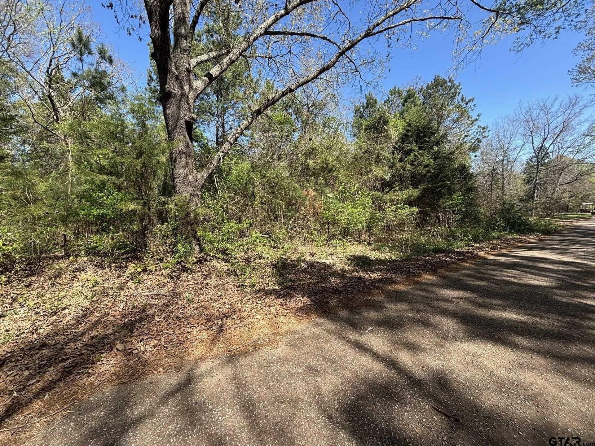 7.87 acres in Smith County - photo 6