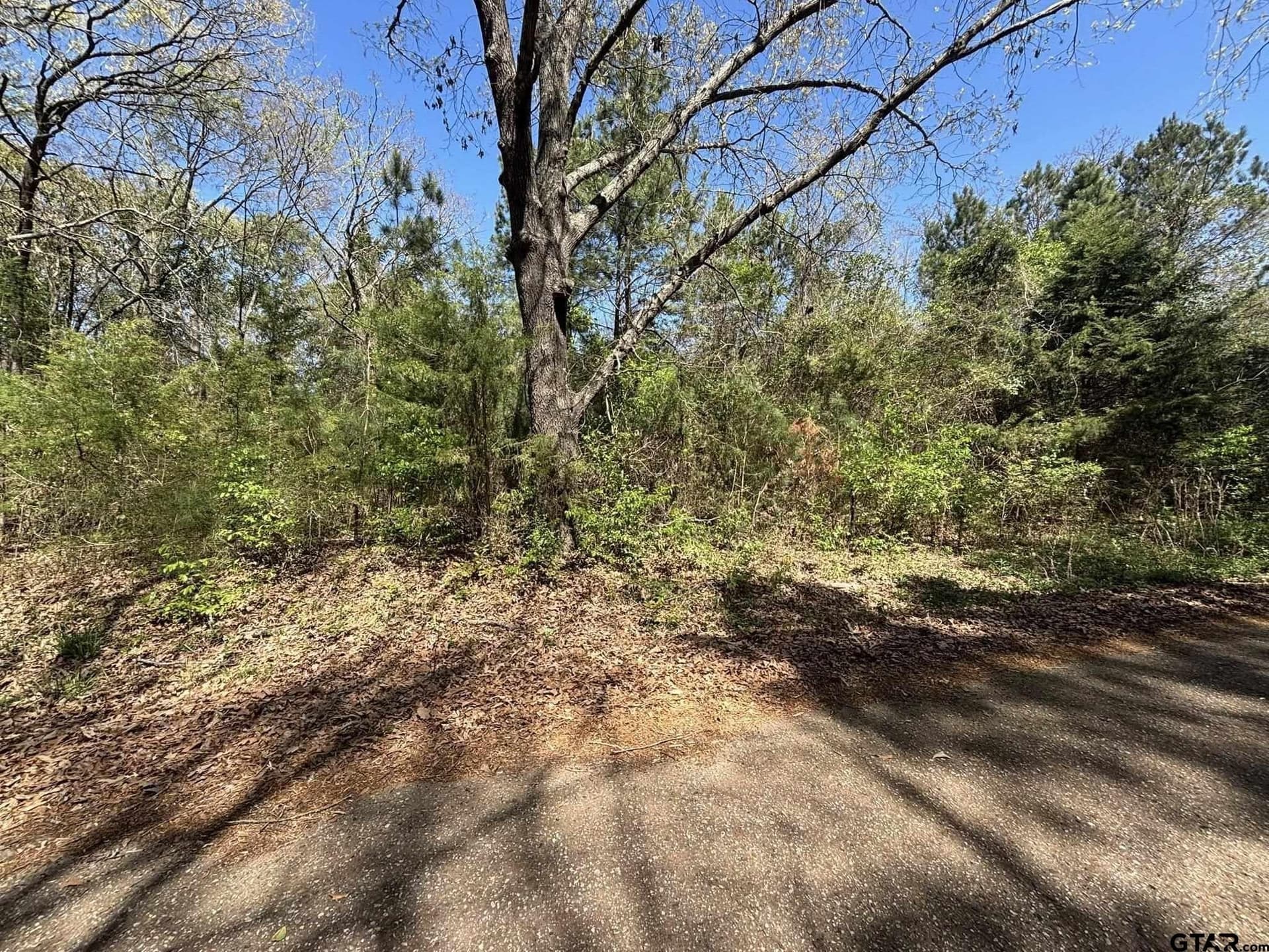 7.87 acres in Smith County - photo 3