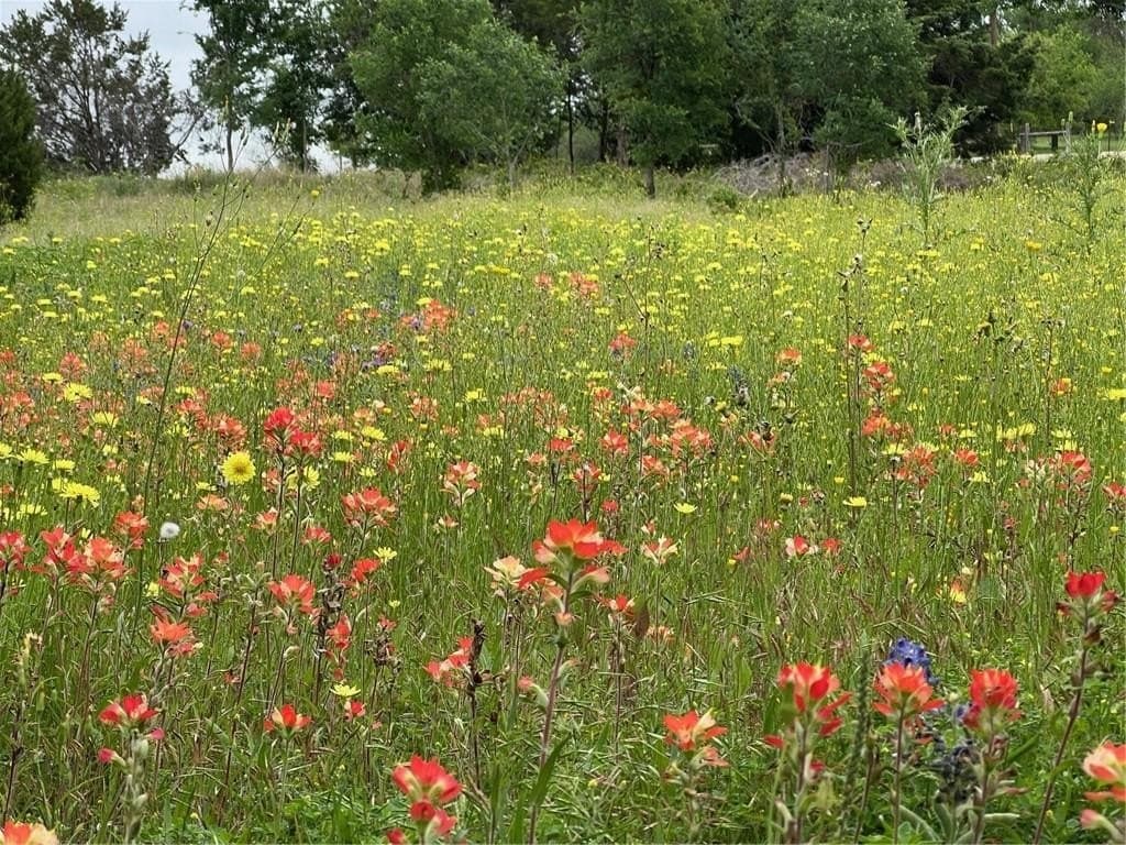 1.02 acres in McLennan County - photo 6