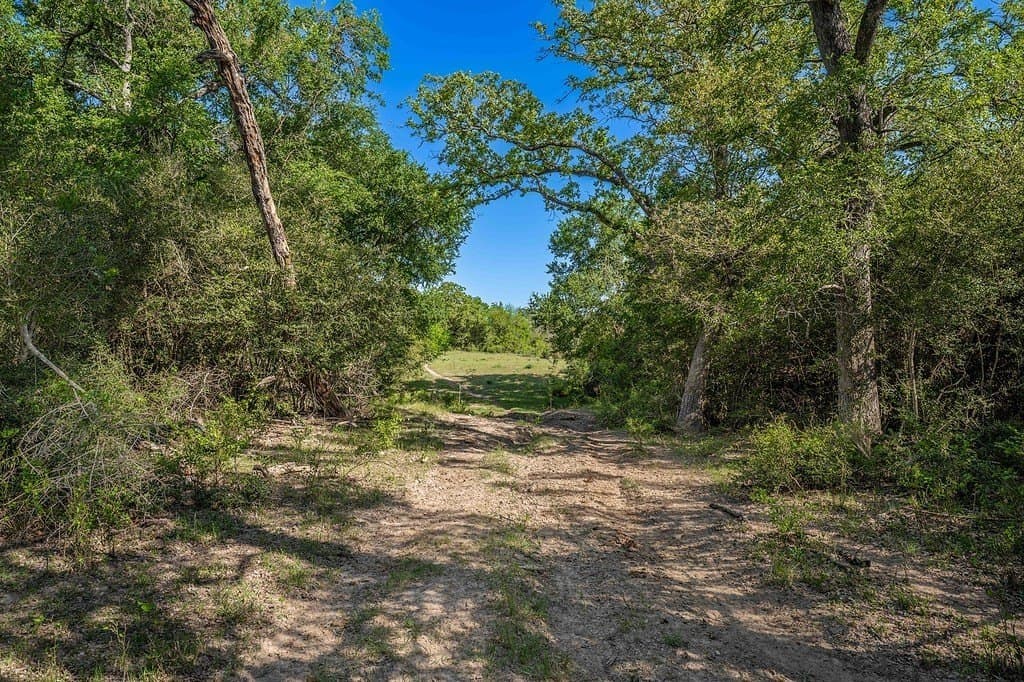 17.02 acres in Washington County - photo 8