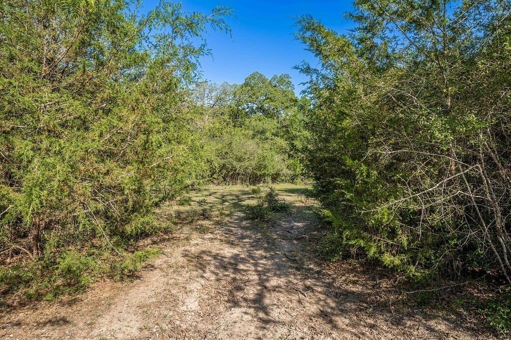 17.02 acres in Washington County - photo 6