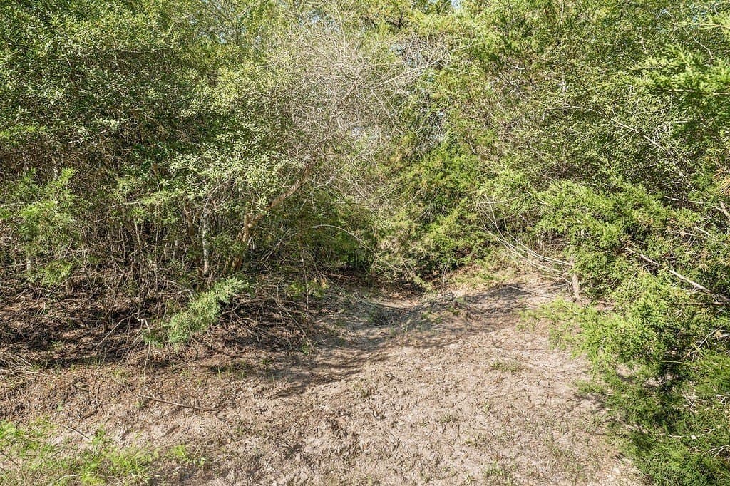 17.02 acres in Washington County - photo 3