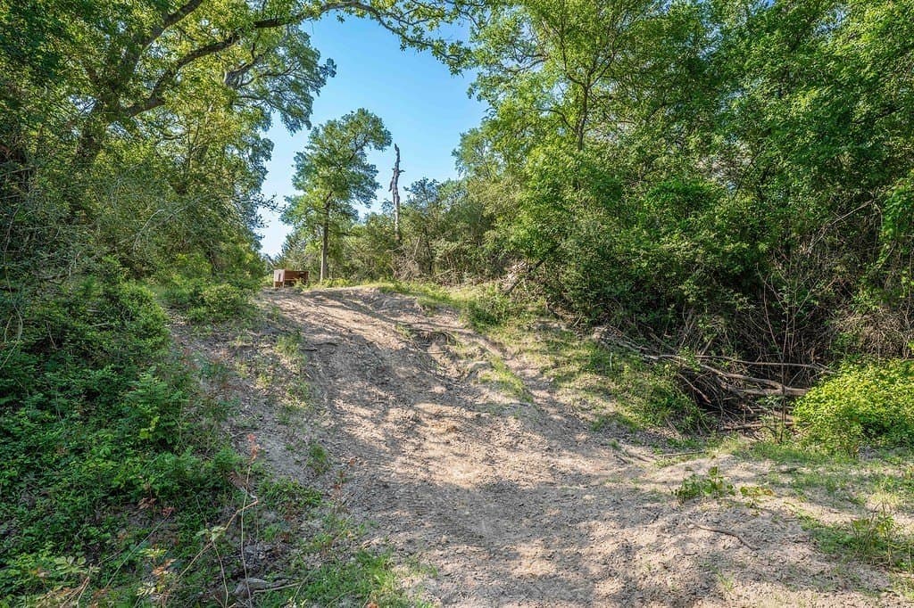 17.02 acres in Washington County - photo 7